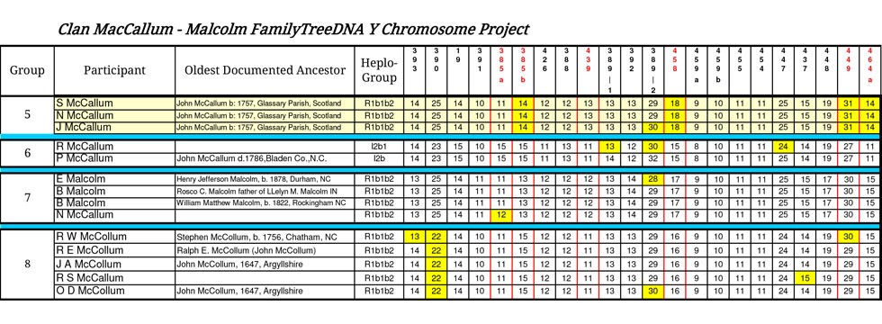 DNA Chart